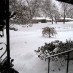 12-25-09 snowstorm front yard