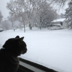 QBert gets a lot of different colors and shows out her TV window... a little later after first heavy snows of the season.