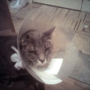 428621038_bb38c994c3_o